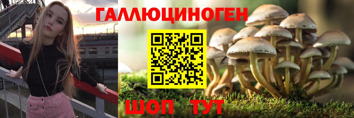 Псилоцибиновые грибы мицелий Советский